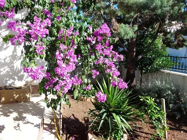 Lidija Διαμέρισμα